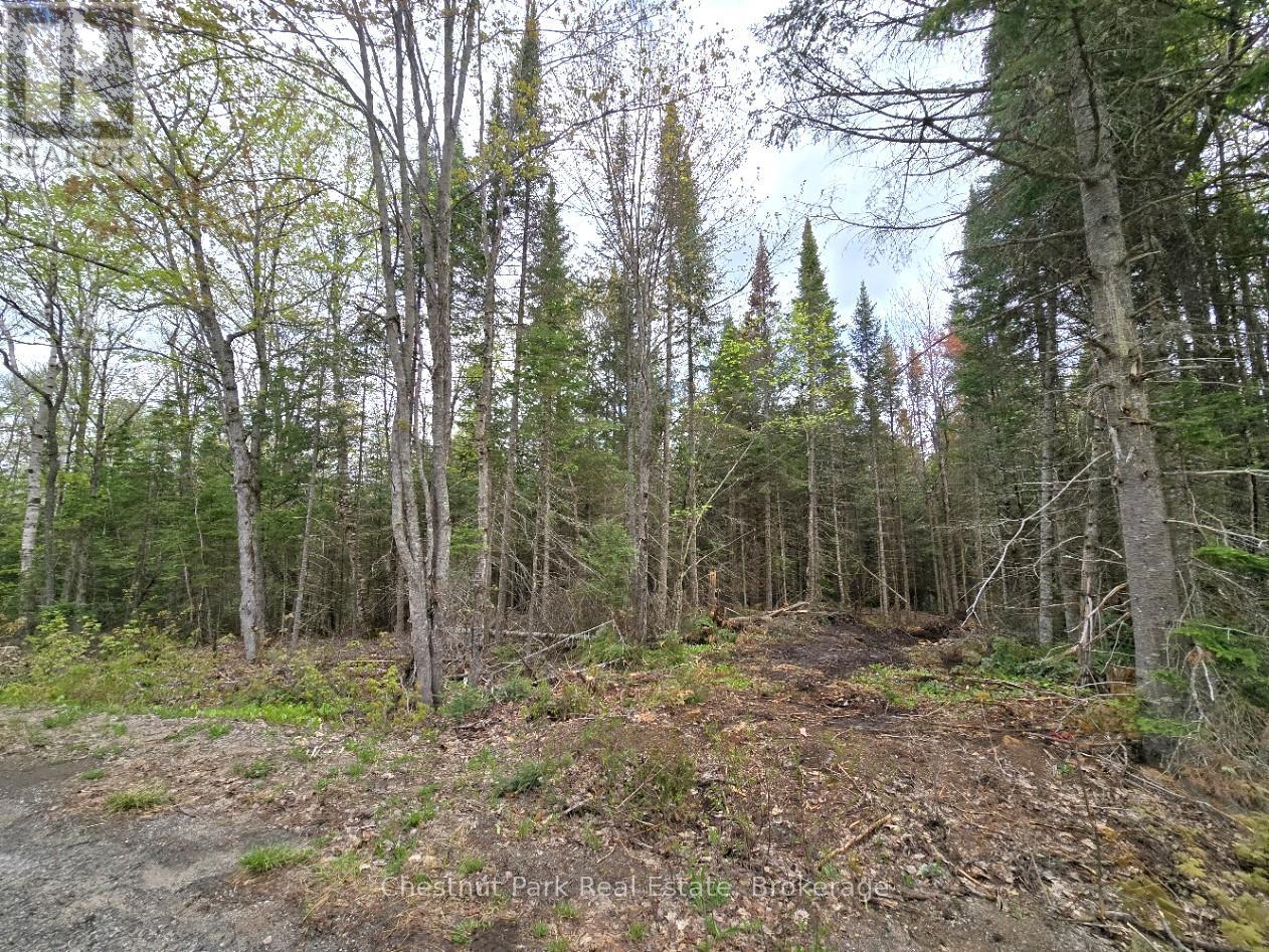 1366 Echo Ridge Road, Kearney, Ontario  P0A 1M0 - Photo 27 - X12156749