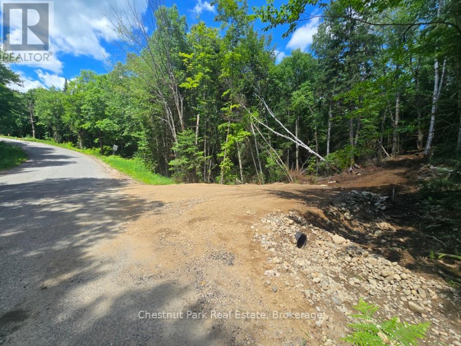 1392 Echo Ridge Road, Kearney, Ontario  P0A 1M0 - Photo 2 - X12156751