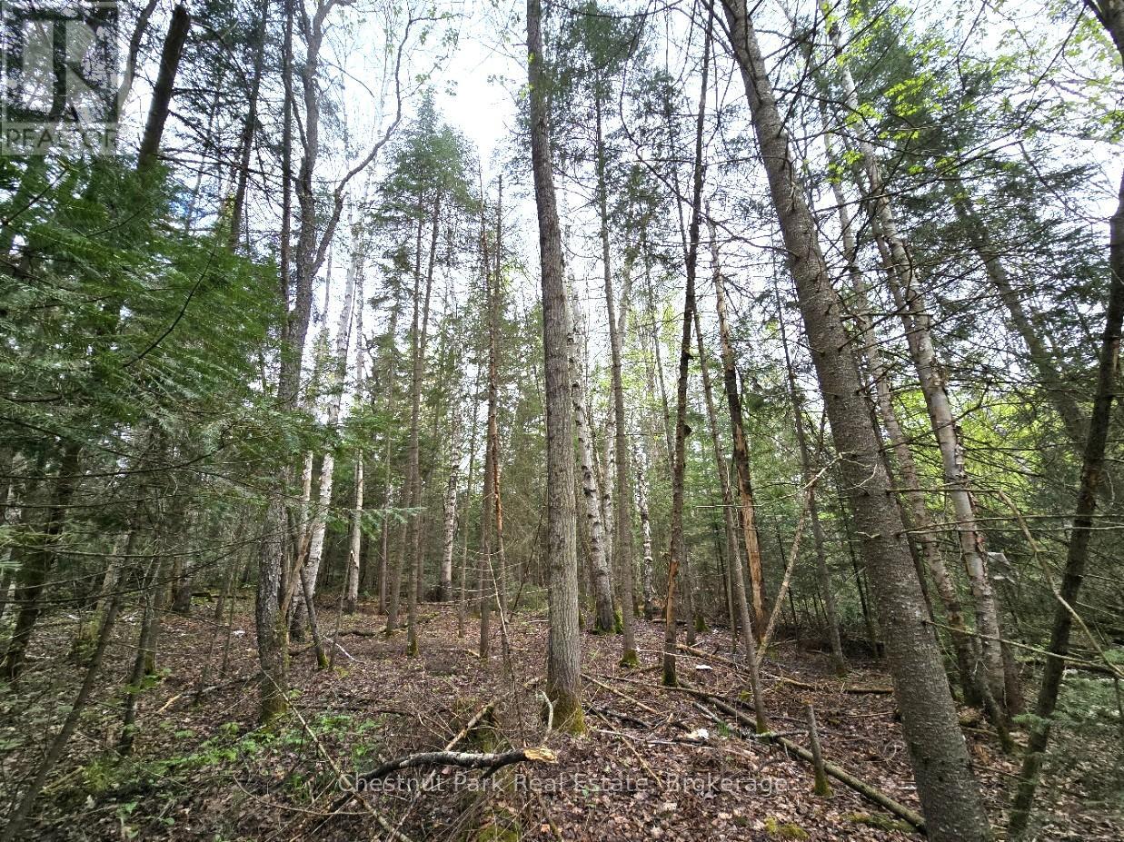 1392 Echo Ridge Road, Kearney, Ontario  P0A 1M0 - Photo 23 - X12156751