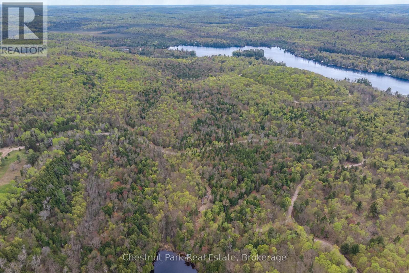 1366 Echo Ridge Road, Kearney, Ontario  P0A 1M0 - Photo 29 - X12156749
