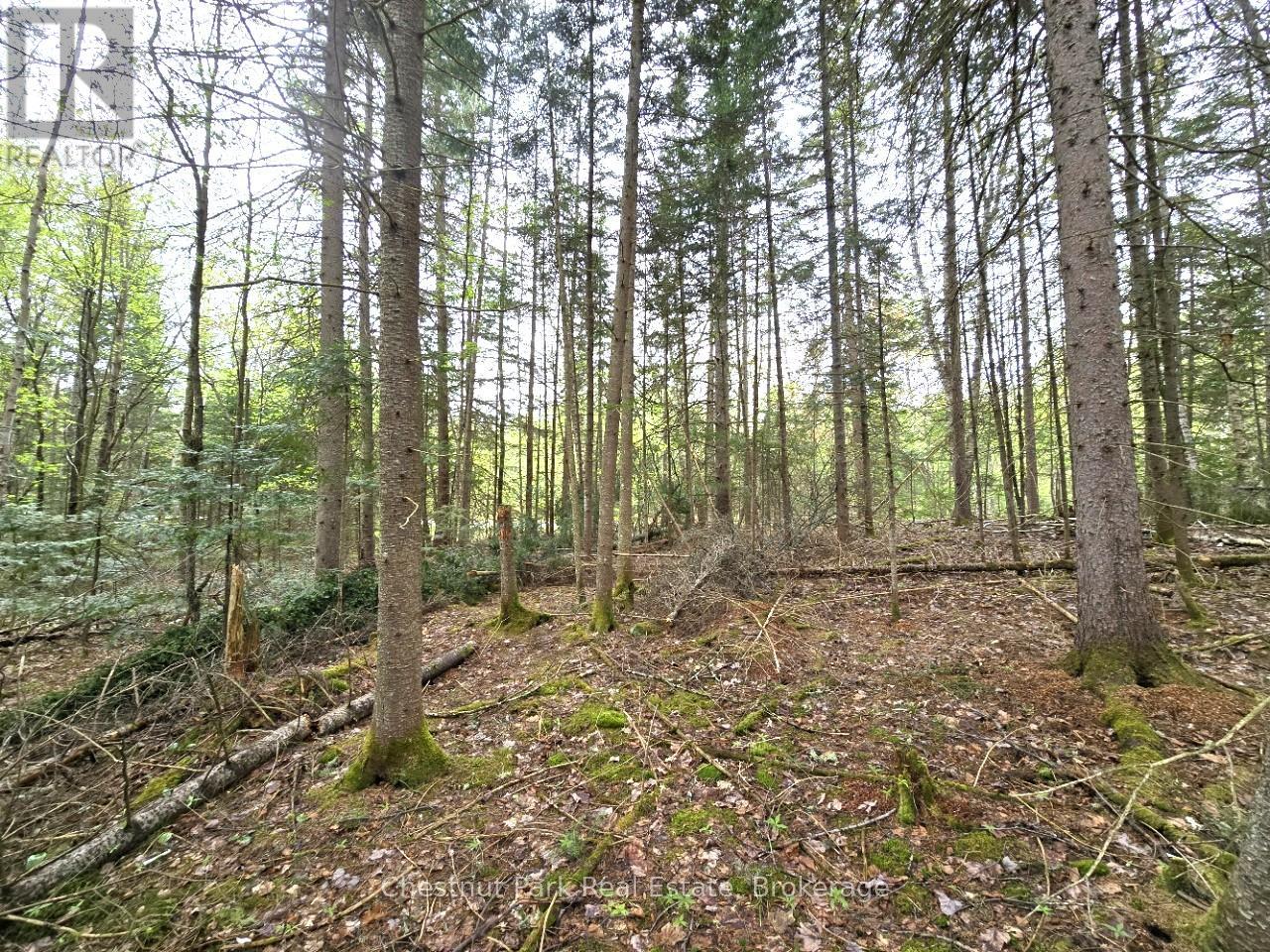 1392 Echo Ridge Road, Kearney, Ontario  P0A 1M0 - Photo 24 - X12156751