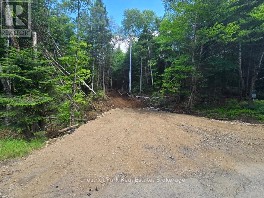 1392 Echo Ridge Road, Kearney, Ontario  P0A 1M0 - Photo 3 - X12156751