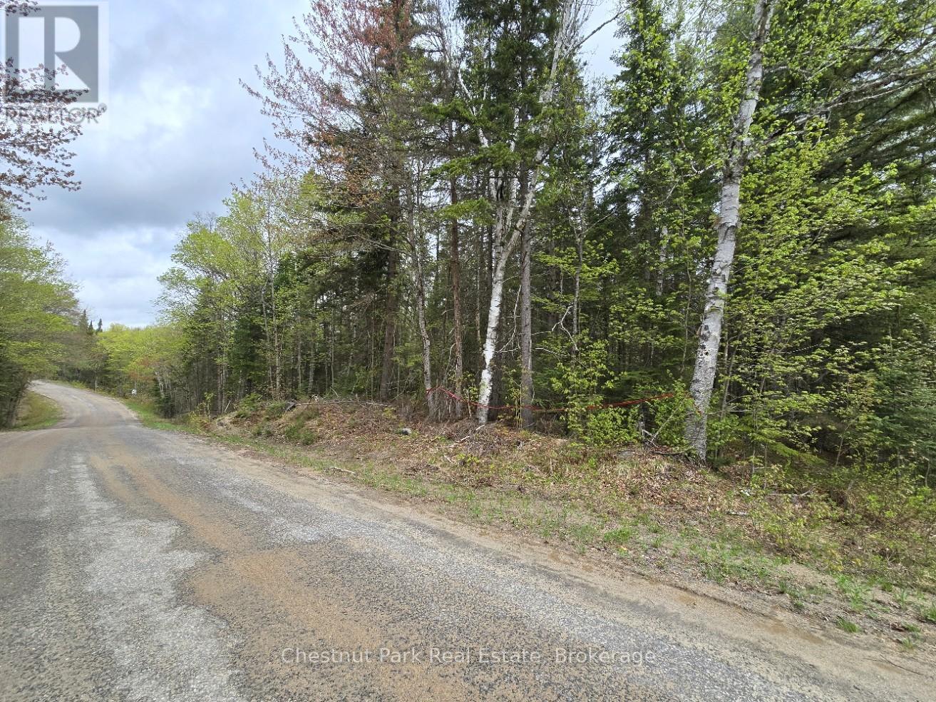 1392 Echo Ridge Road, Kearney, Ontario  P0A 1M0 - Photo 32 - X12156751