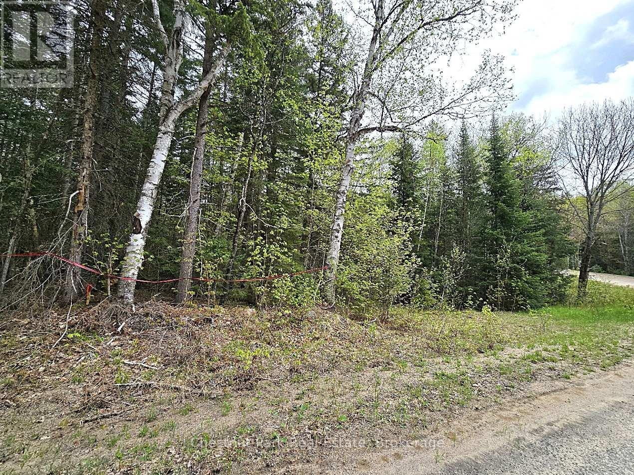 1392 Echo Ridge Road, Kearney, Ontario  P0A 1M0 - Photo 38 - X12156751