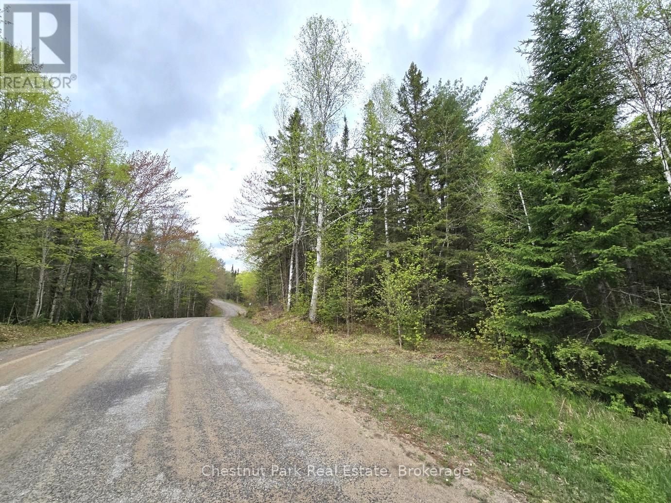 1392 Echo Ridge Road, Kearney, Ontario  P0A 1M0 - Photo 5 - X12156751