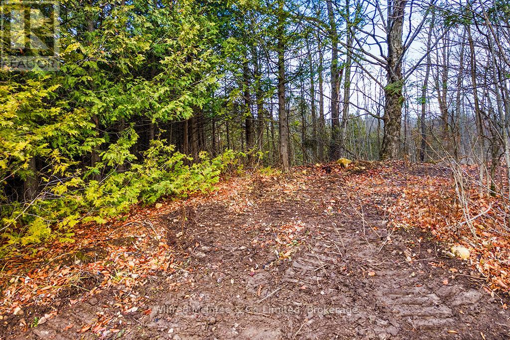 Ptlt 16; Part 2 16r6350 5 Side Road, Chatsworth, Ontario  N0H 1G0 - Photo 11 - X12357973