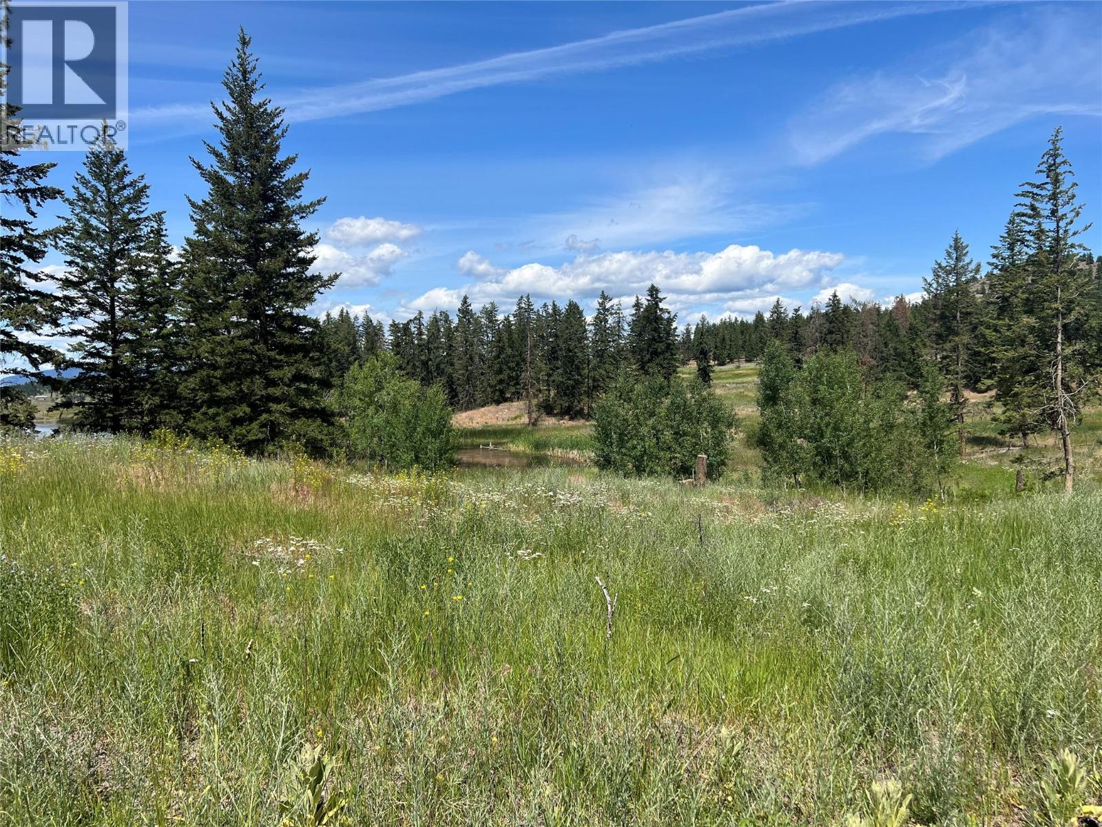 2448/2370b Barnhartvale Road, Kamloops, British Columbia  V2C 6Y1 - Photo 15 - 10360233