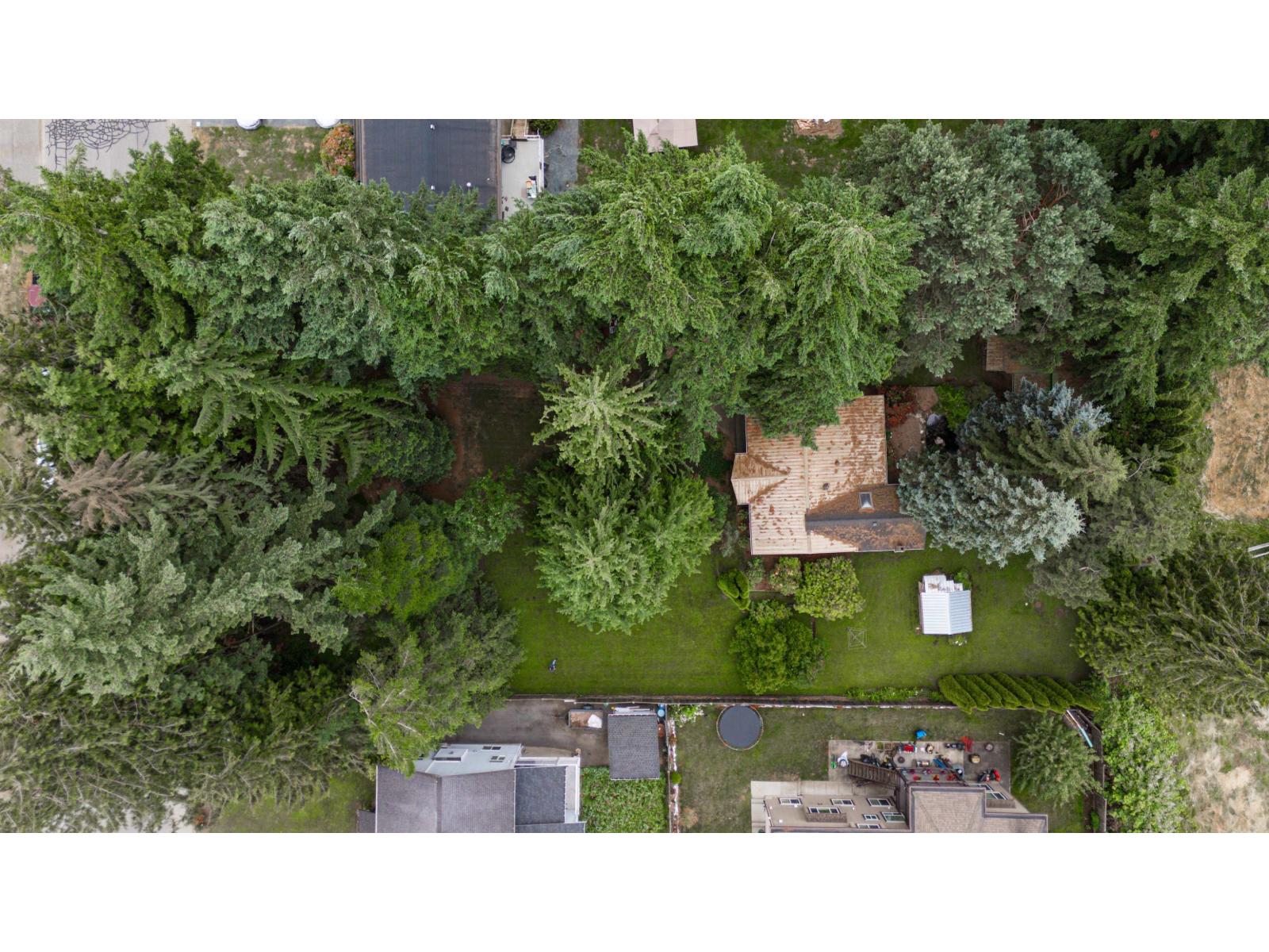 2161 Martens Street, Abbotsford, British Columbia  V2T 6M6 - Photo 9 - R3021011