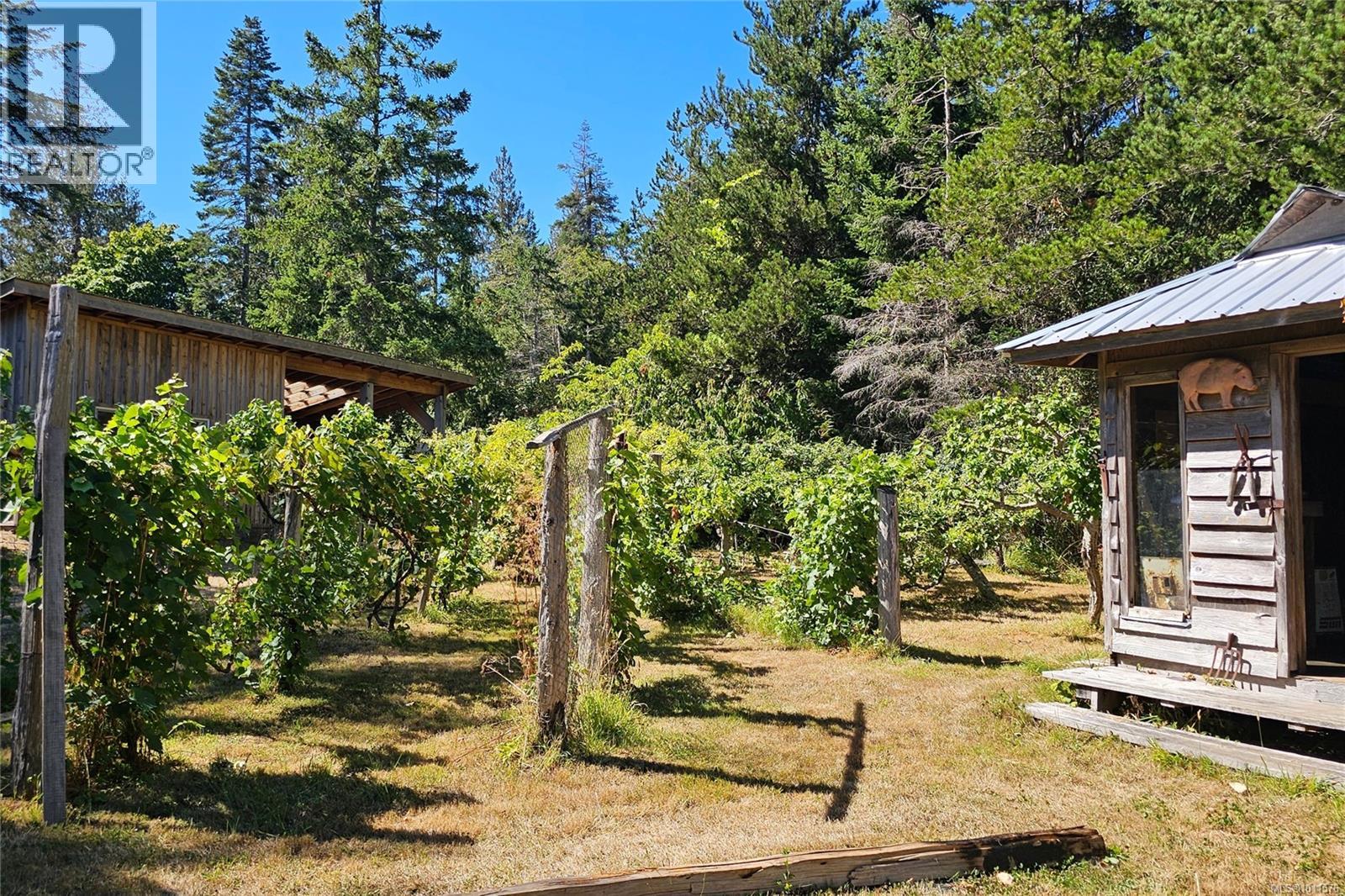 Lot 4 Maple Bay Rd, Lasqueti Island, British Columbia  V0R 2J0 - Photo 9 - 1011576