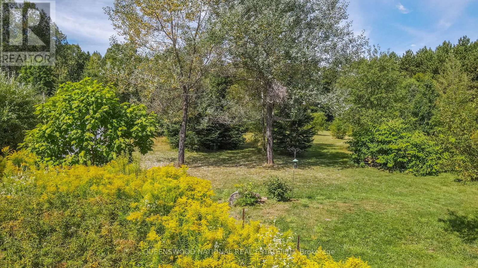 842 Centreview Road, Hastings Highlands, Ontario  K0J 1L0 - Photo 39 - X12358172