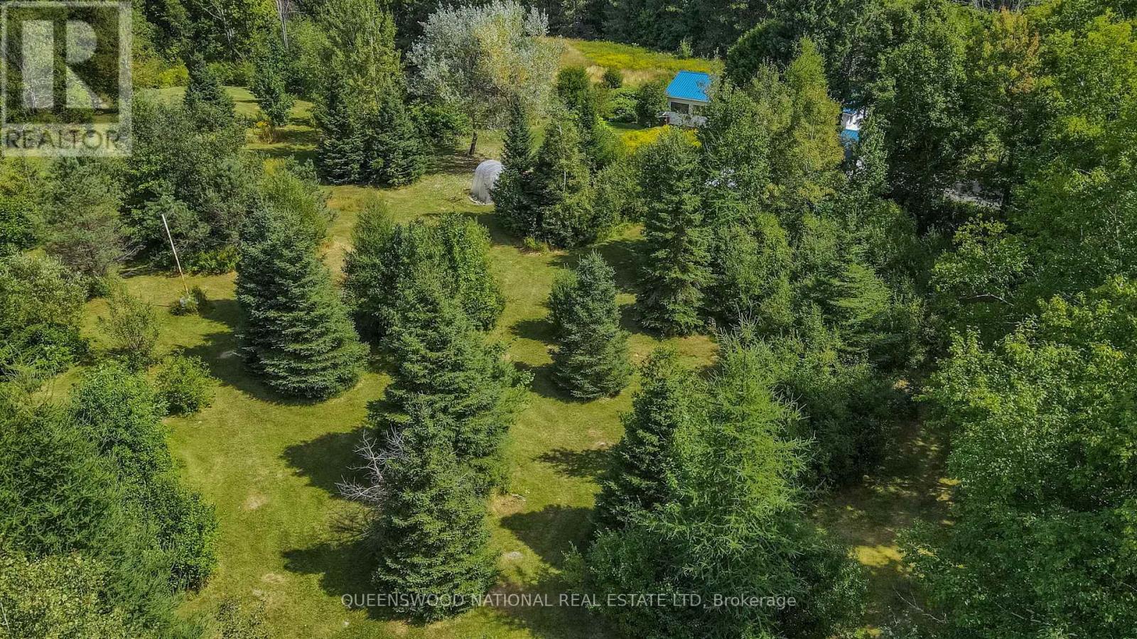 842 Centreview Road, Hastings Highlands, Ontario  K0J 1L0 - Photo 5 - X12358172