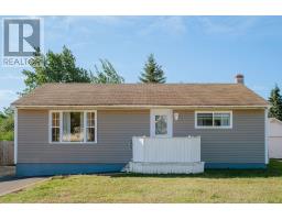 17 Fitzmaurice Road, Gander, Newfoundland & Labrador