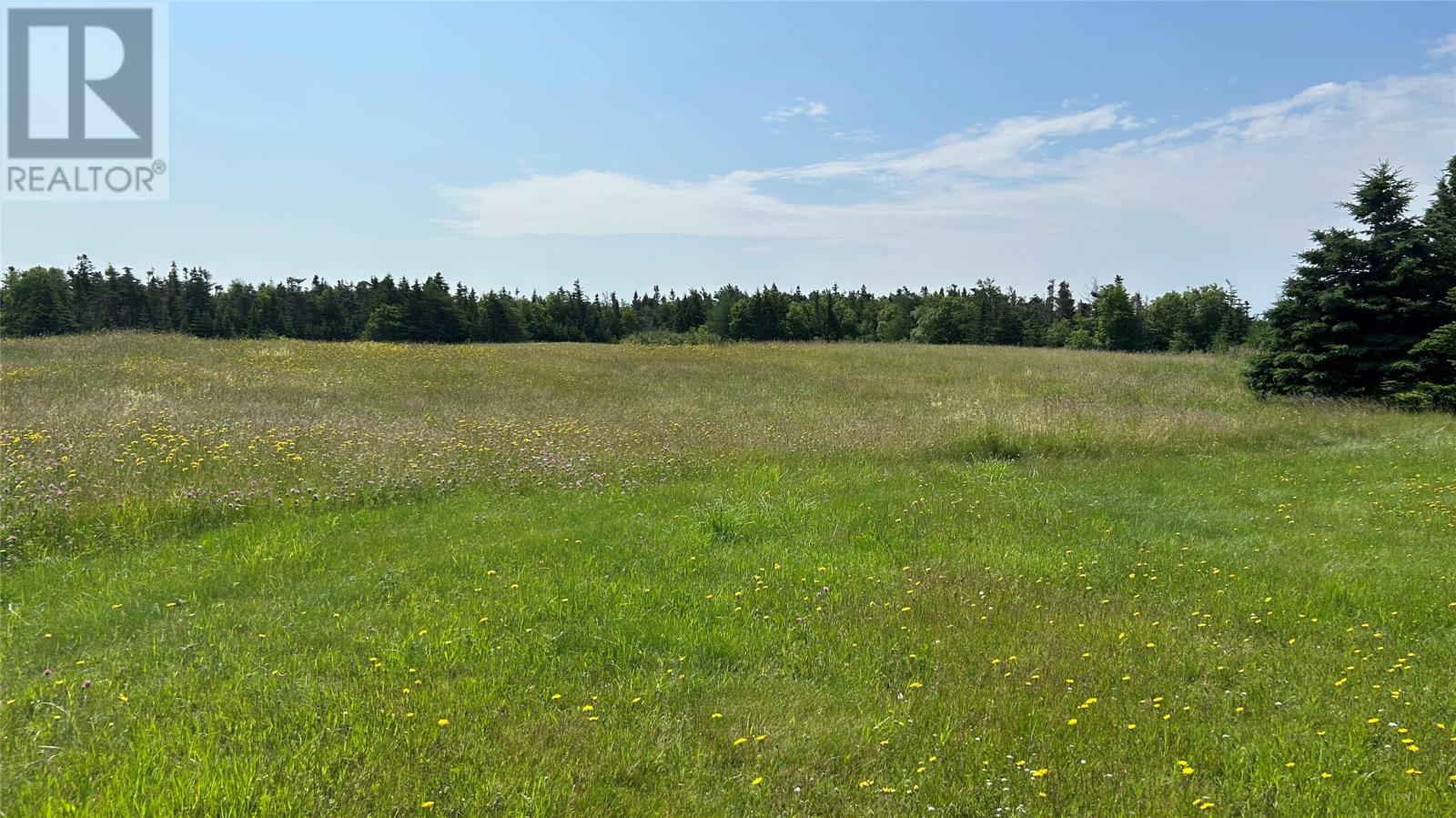 525 Cartyville Road, Cartyville, Newfoundland & Labrador  A0N 1G0 - Photo 23 - 1289562