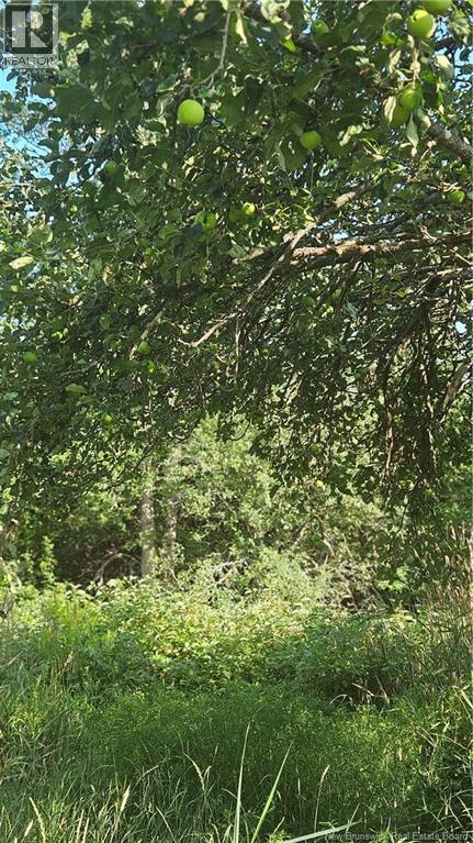 940 Route, Midgic, New Brunswick  E4L 1X1 - Photo 14 - NB123856