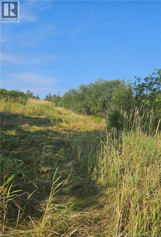 940 Route, Midgic, New Brunswick  E4L 1X1 - Photo 6 - NB123856