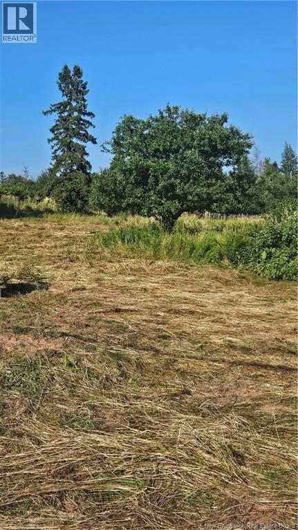 940 Route, Midgic, New Brunswick  E4L 1X1 - Photo 8 - NB123856