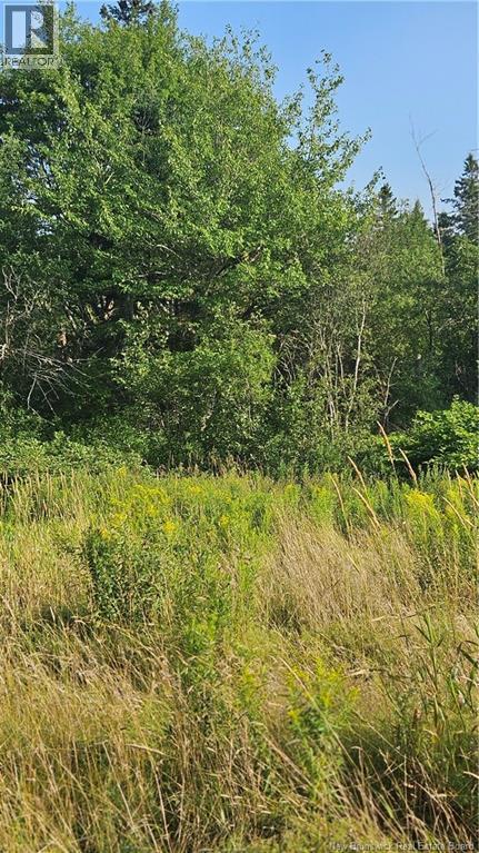 940 Route, Midgic, New Brunswick  E4L 1X1 - Photo 12 - NB123856