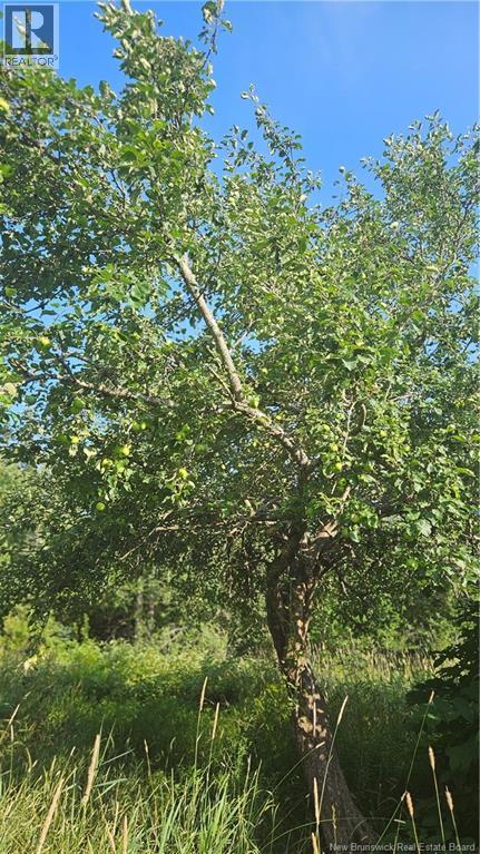 940 Route, Midgic, New Brunswick  E4L 1X1 - Photo 13 - NB123856