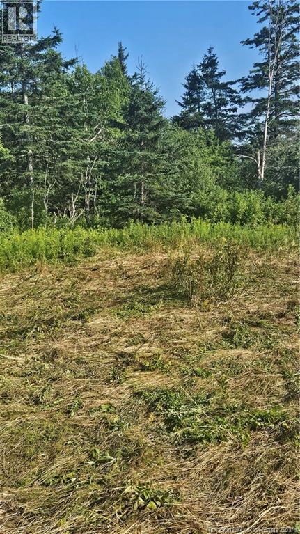 940 Route, Midgic, New Brunswick  E4L 1X1 - Photo 9 - NB123856