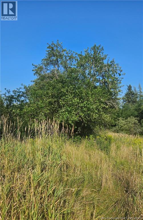 940 Route, Midgic, New Brunswick  E4L 1X1 - Photo 18 - NB123856