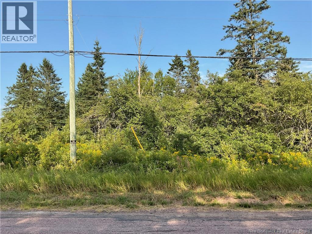 940 Route, Midgic, New Brunswick  E4L 1X1 - Photo 20 - NB123856
