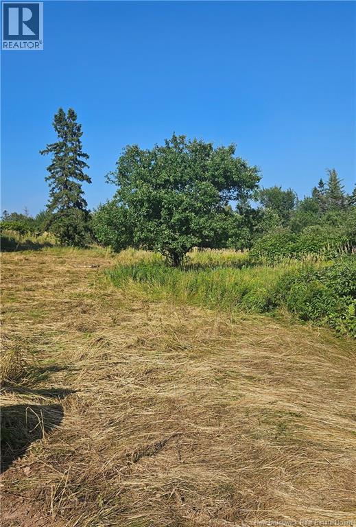940 Route, Midgic, New Brunswick  E4L 1X1 - Photo 3 - NB123856