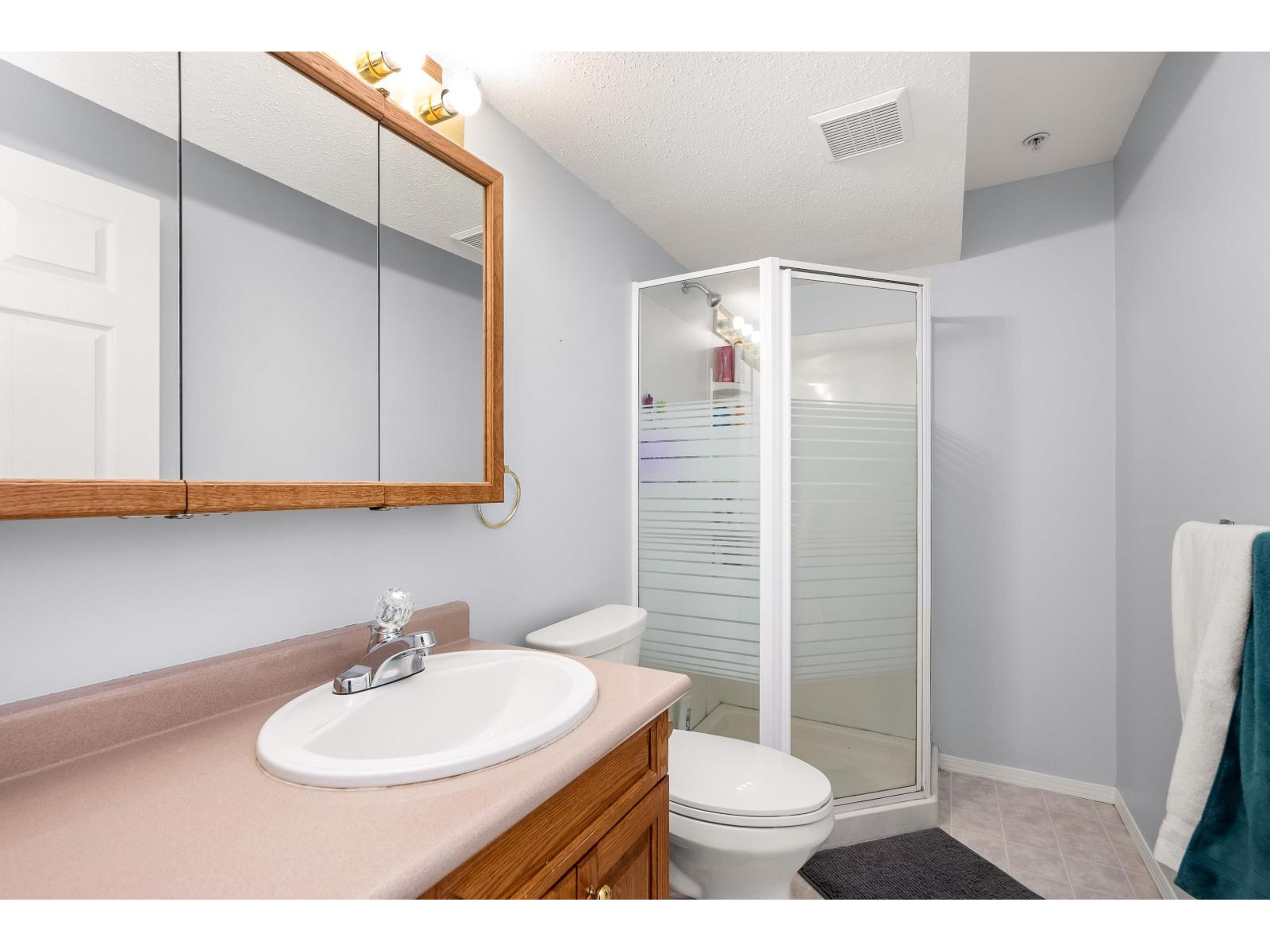 62 20761 Telegraph Trail, Langley, British Columbia  V1M 2W3 - Photo 26 - R3039168