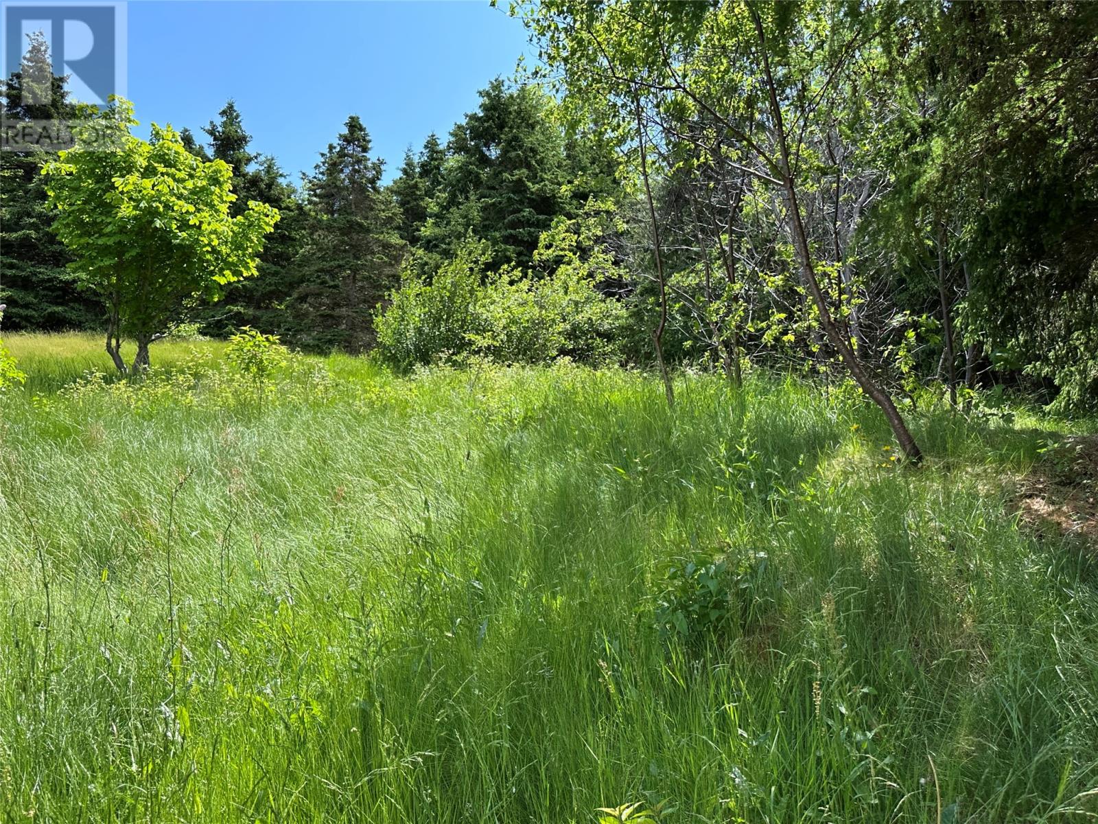142 Marysvale Road, Marysvale, Newfoundland & Labrador  A0A 2Z0 - Photo 25 - 1287127