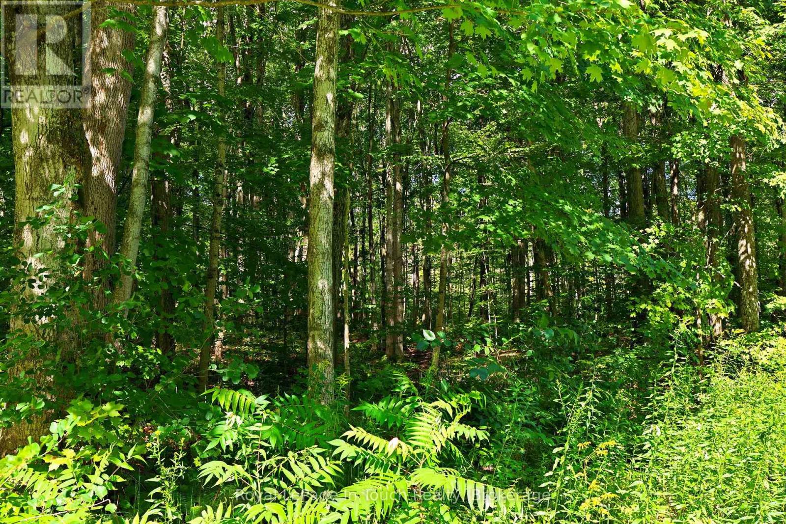Lot 52 Copeland Creek Drive, Tiny, Ontario  L9M 0M2 - Photo 2 - S12358557