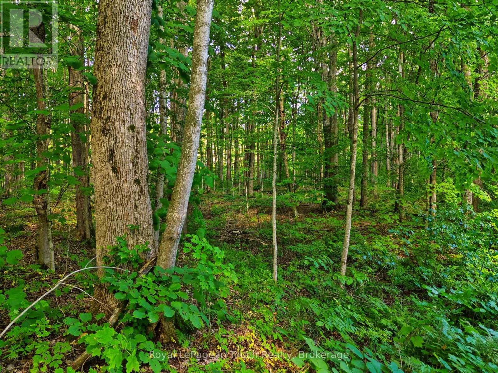 Lot 52 Copeland Creek Drive, Tiny, Ontario  L9M 0M2 - Photo 32 - S12358557