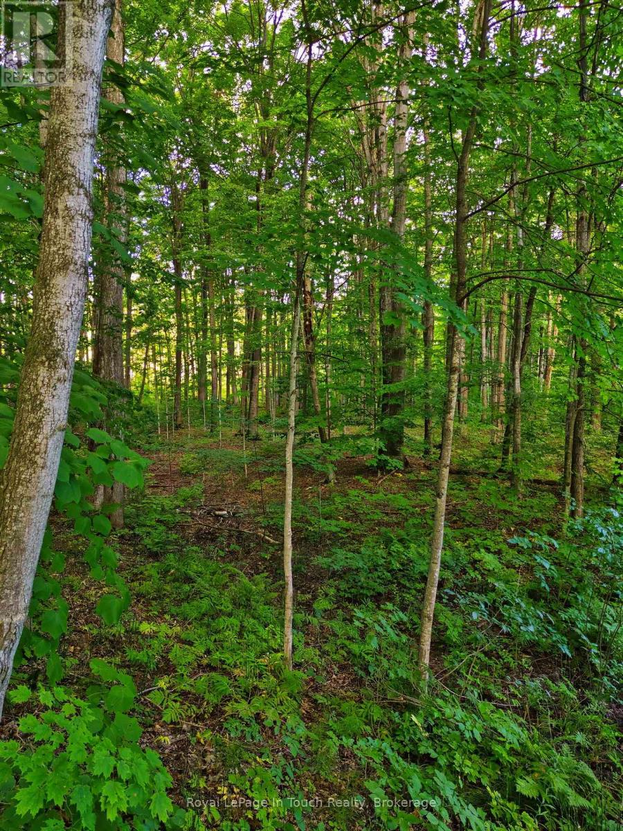Lot 52 Copeland Creek Drive, Tiny, Ontario  L9M 0M2 - Photo 33 - S12358557