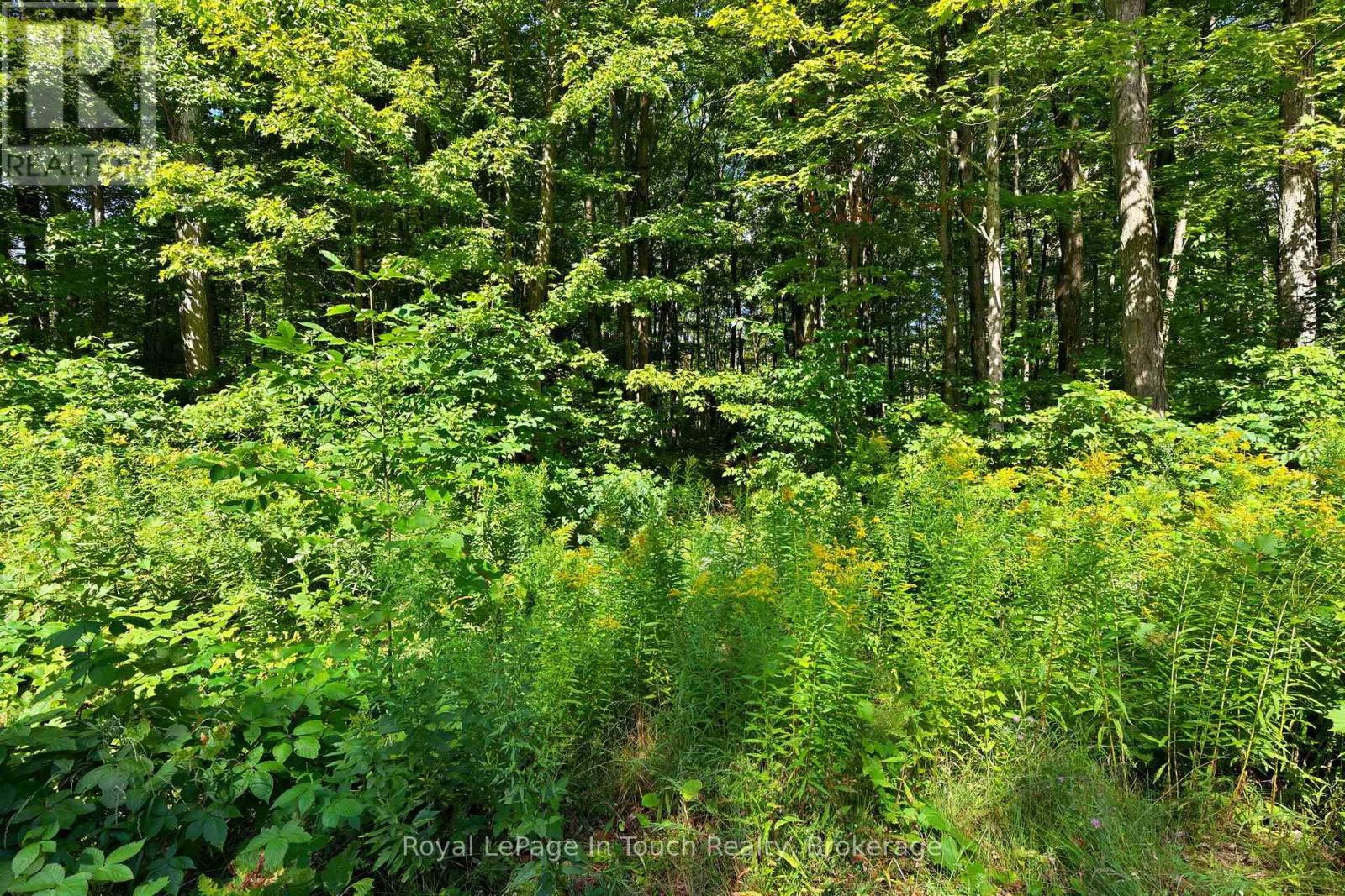 Lot 52 Copeland Creek Drive, Tiny, Ontario  L9M 0M2 - Photo 4 - S12358557