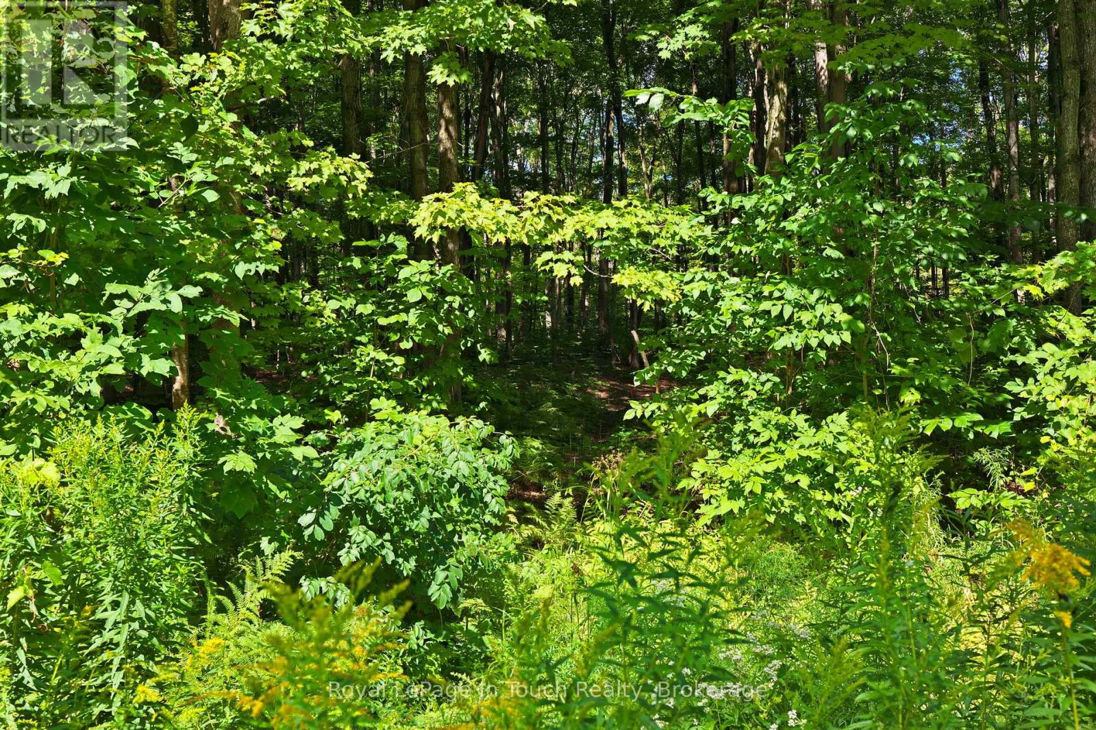 Lot 52 Copeland Creek Drive, Tiny, Ontario  L9M 0M2 - Photo 5 - S12358557