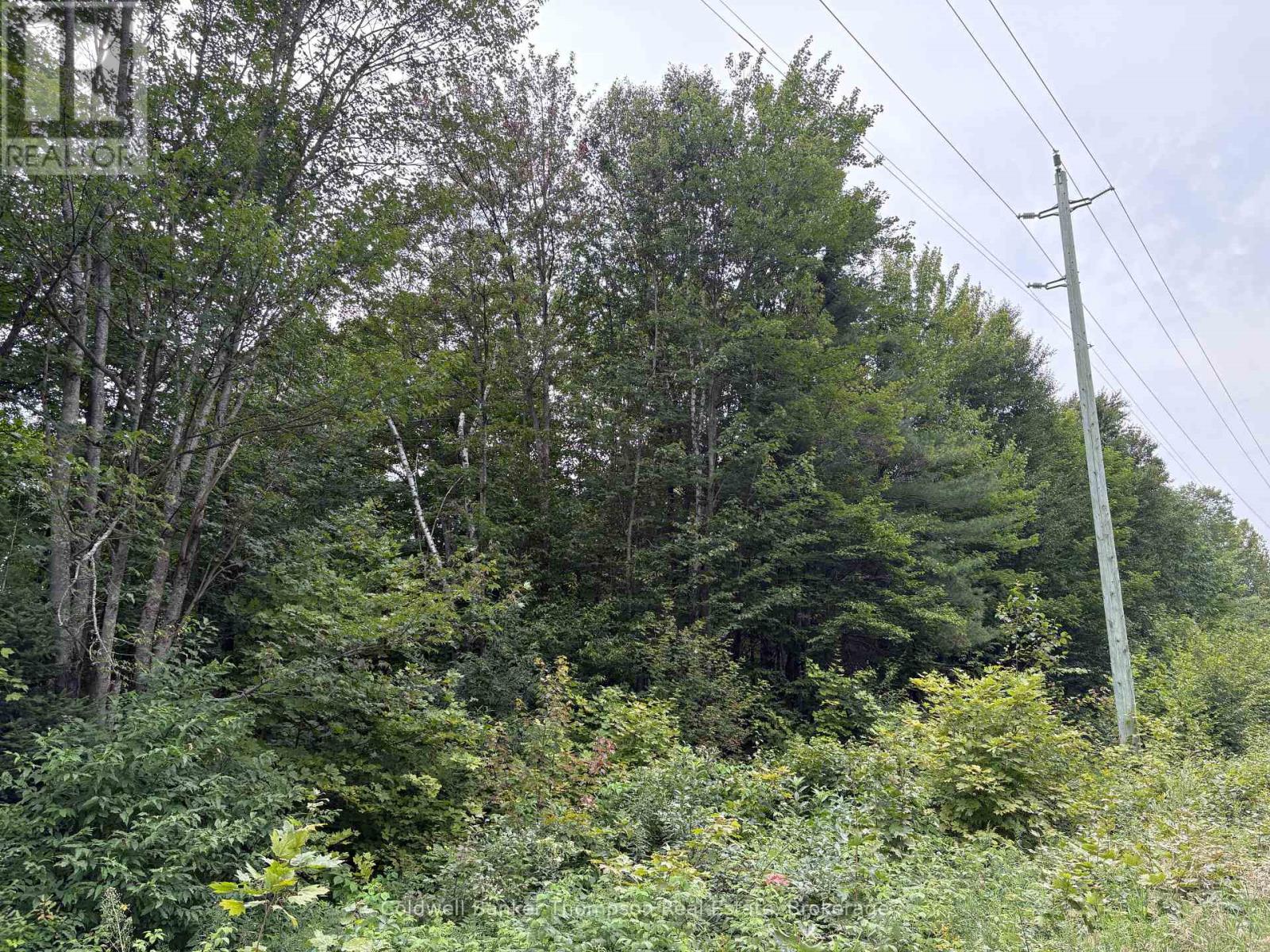 0 Hemlock Road, Powassan, Ontario  P0H 2L0 - Photo 1 - X12358578