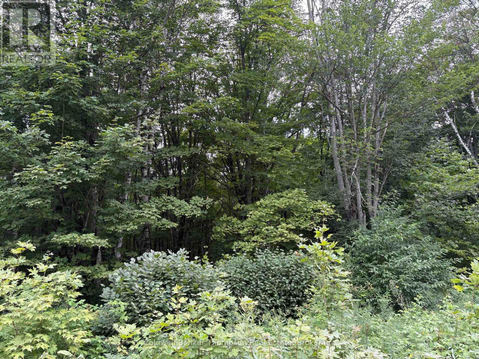 0 Hemlock Road, Powassan, Ontario  P0H 2L0 - Photo 2 - X12358578