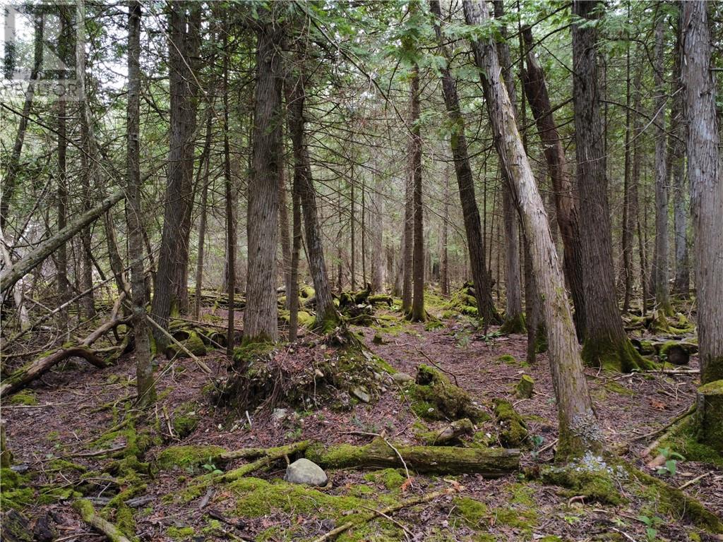 706 & 698 Pebble Rd, Manitoulin Island, Ontario  P0P 1Y0 - Photo 15 - 2124196