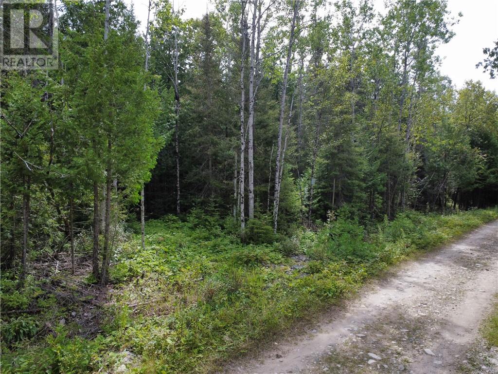 706 & 698 Pebble Rd, Manitoulin Island, Ontario  P0P 1Y0 - Photo 4 - 2124196