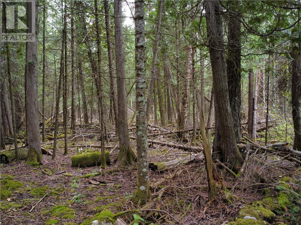 706 & 698 Pebble Rd, Manitoulin Island, Ontario  P0P 1Y0 - Photo 5 - 2124196