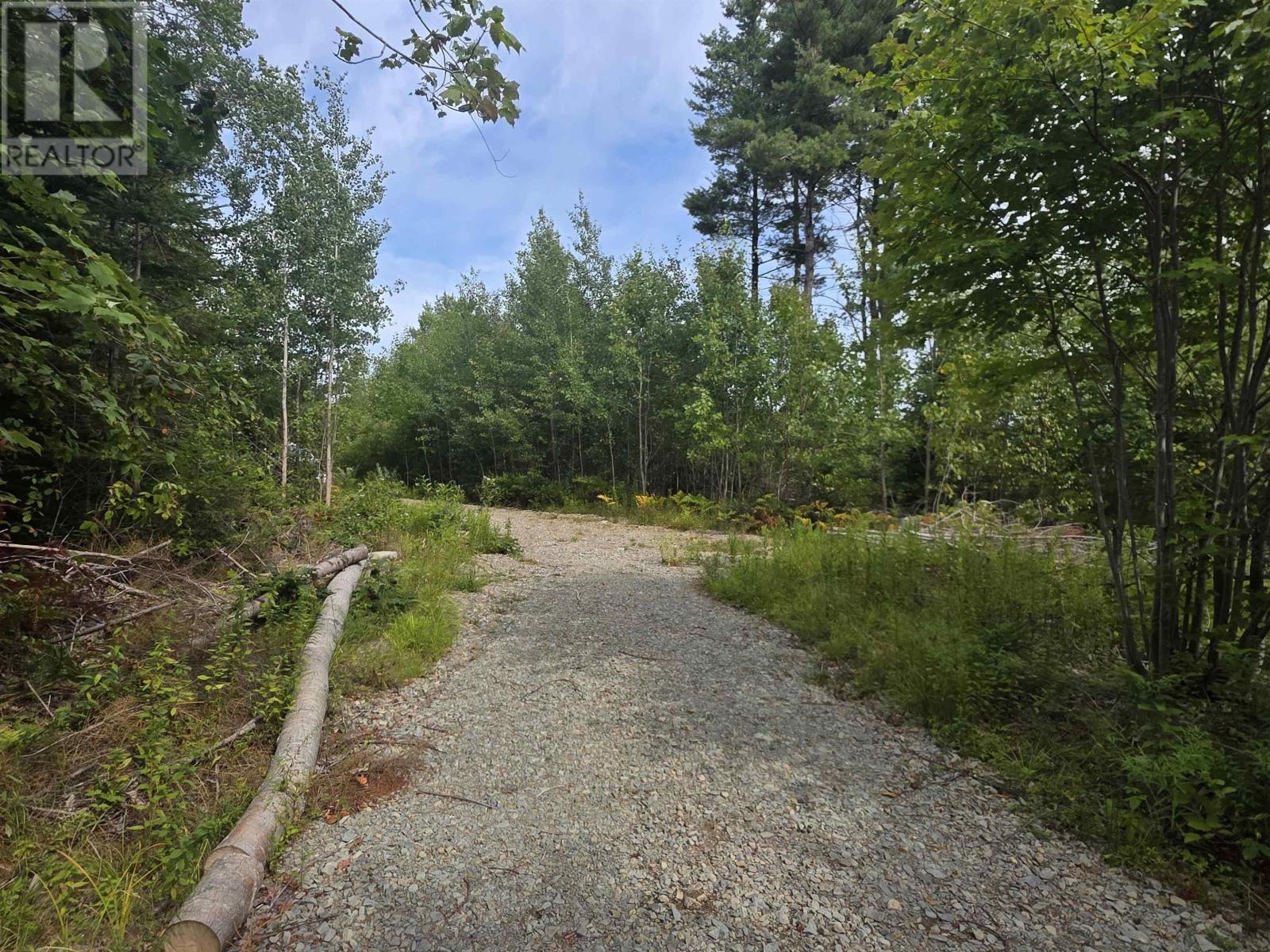 Lot Sissiboo Road, Weymouth Mills, Nova Scotia  B0W 3T0 - Photo 16 - 202521352