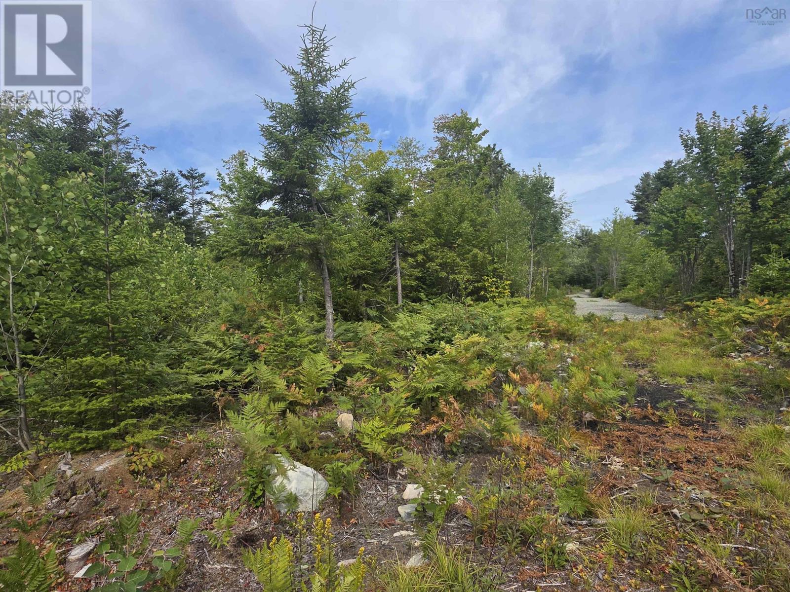 Lot Sissiboo Road, Weymouth Mills, Nova Scotia  B0W 3T0 - Photo 14 - 202521352