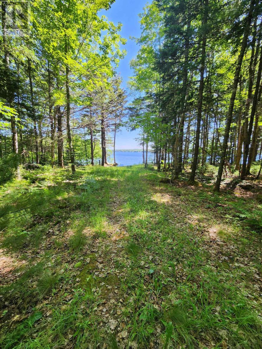 Lot Troop Road, North Range, Nova Scotia  B0W 1H0 - Photo 12 - 202521167
