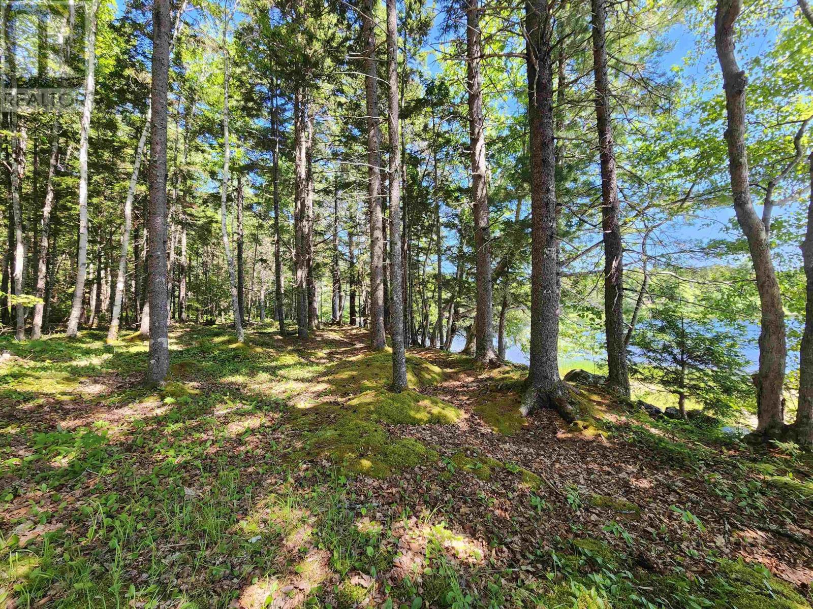 Lot Troop Road, North Range, Nova Scotia  B0W 1H0 - Photo 15 - 202521167