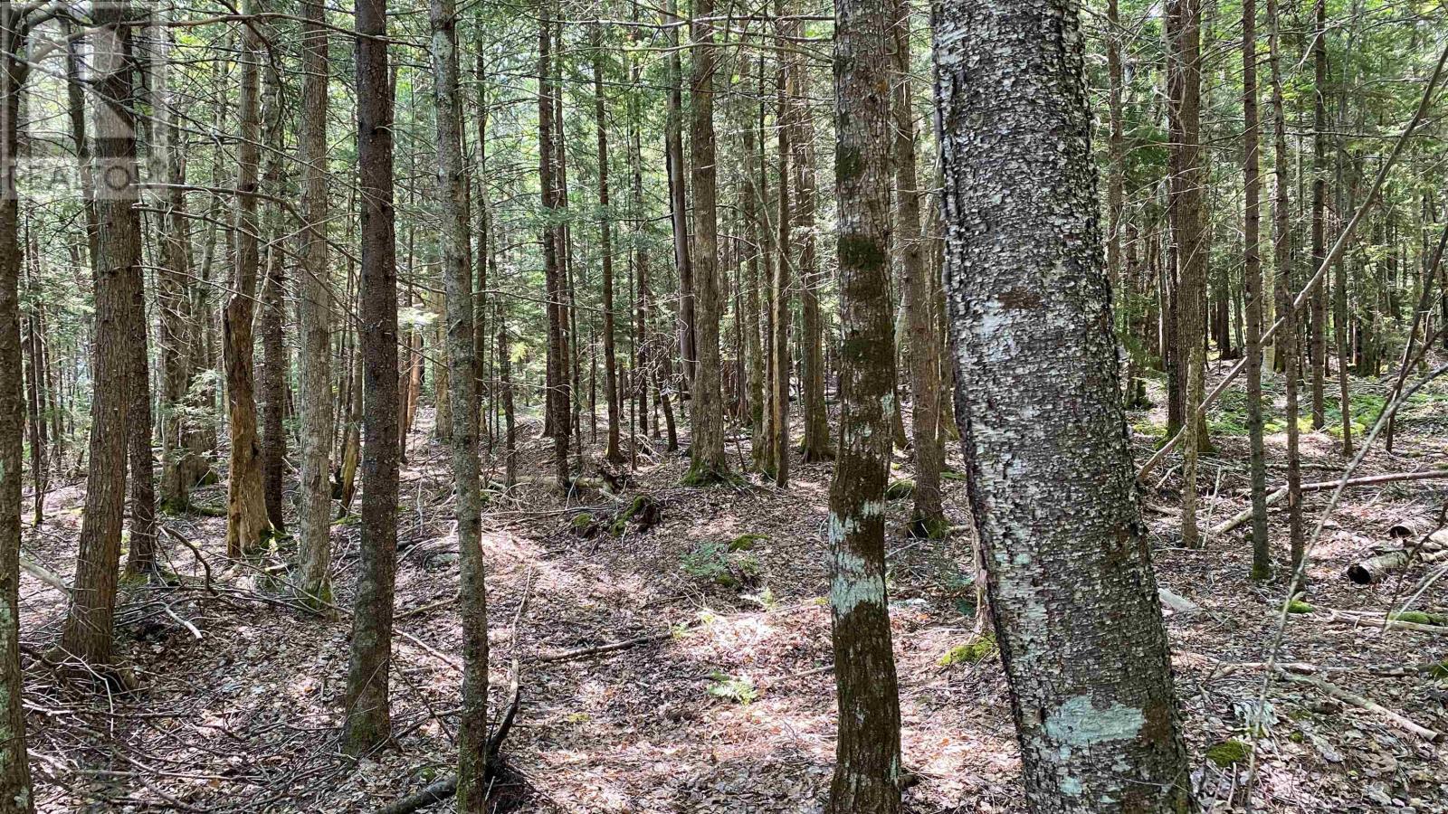 Lot Troop Road, North Range, Nova Scotia  B0W 1H0 - Photo 8 - 202521167