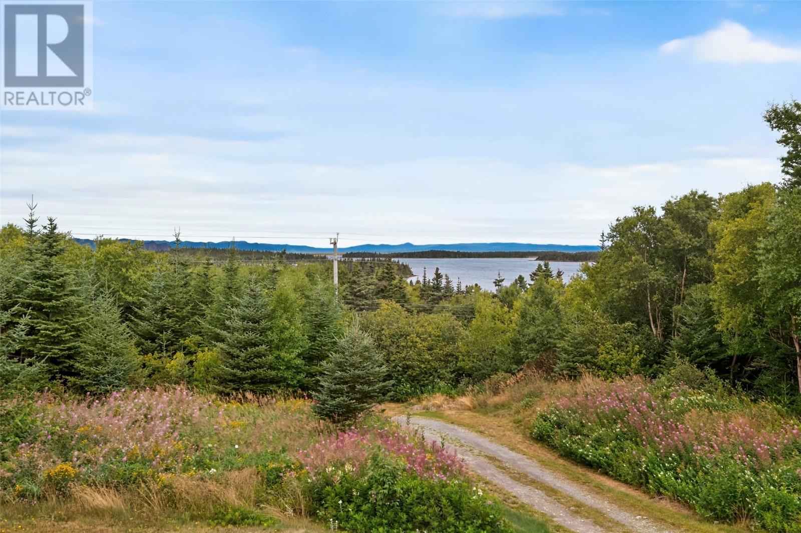 119 Main Road, Bellevue, Newfoundland & Labrador  A0B 1B0 - Photo 7 - 1289517