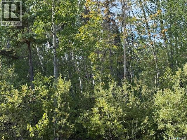 2008 Laronge AVENUE, La Ronge, Saskatchewan