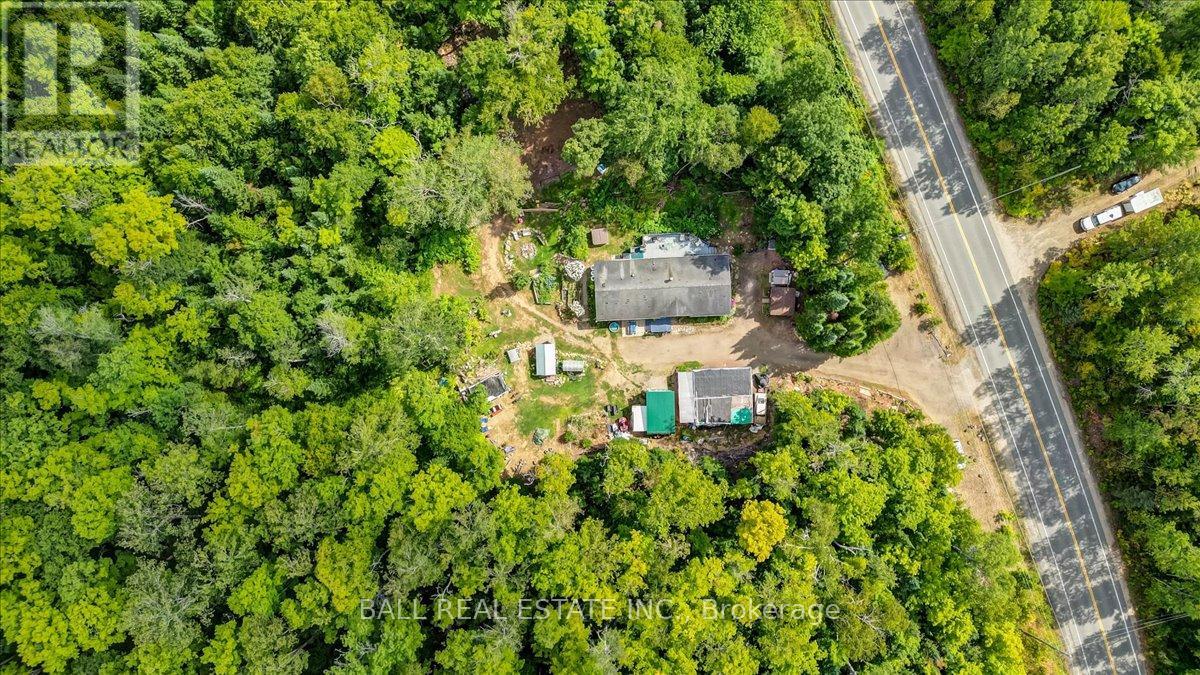 5005 Loop Road, Highlands East, Ontario  K0L 2A0 - Photo 32 - X12358875