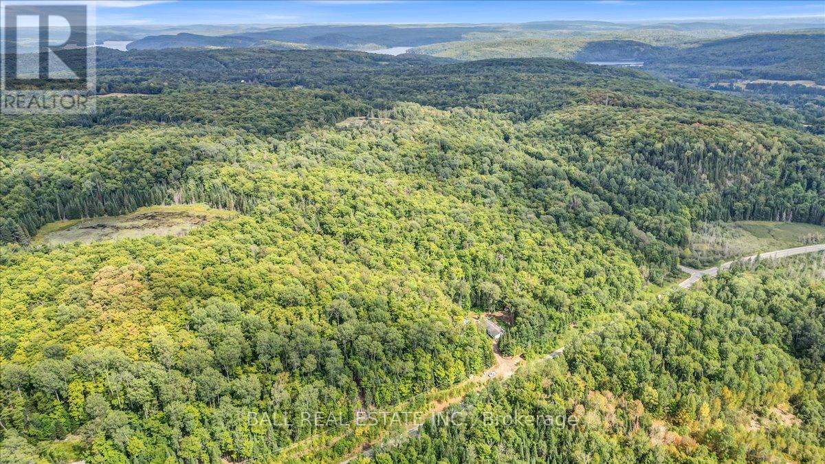 5005 Loop Road, Highlands East, Ontario  K0L 2A0 - Photo 33 - X12358875