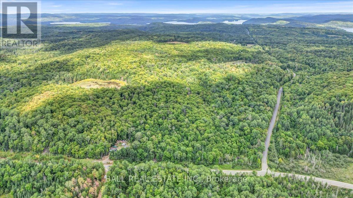 5005 Loop Road, Highlands East, Ontario  K0L 2A0 - Photo 34 - X12358875