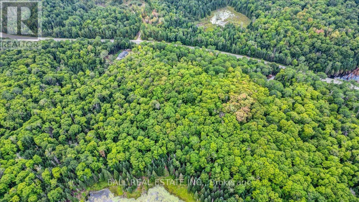 5005 Loop Road, Highlands East, Ontario  K0L 2A0 - Photo 35 - X12358875