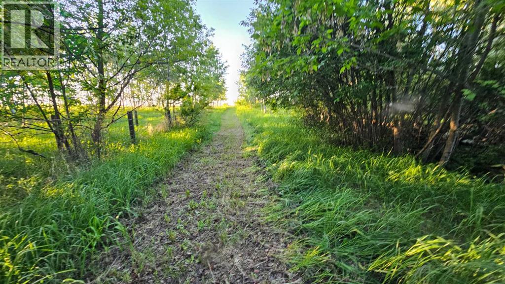5314 Municipal Road, Coronation, Alberta  T0C 1C0 - Photo 39 - A2223635